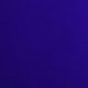 Meet your Posher, Michole